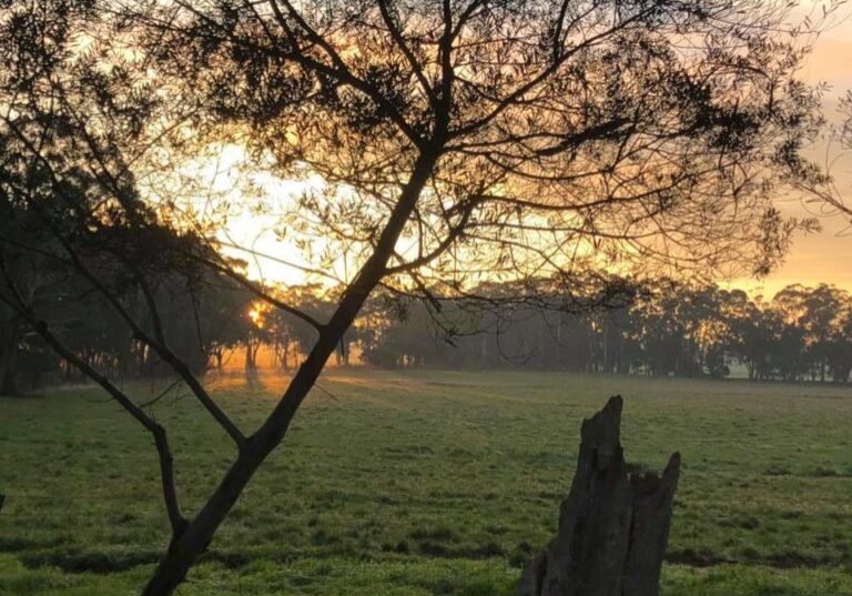 103535423 2452030094900373 5546339076951824106 N[1]