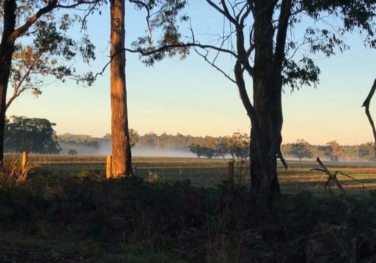 31484964 1252578218178906 5148820383721324544 N