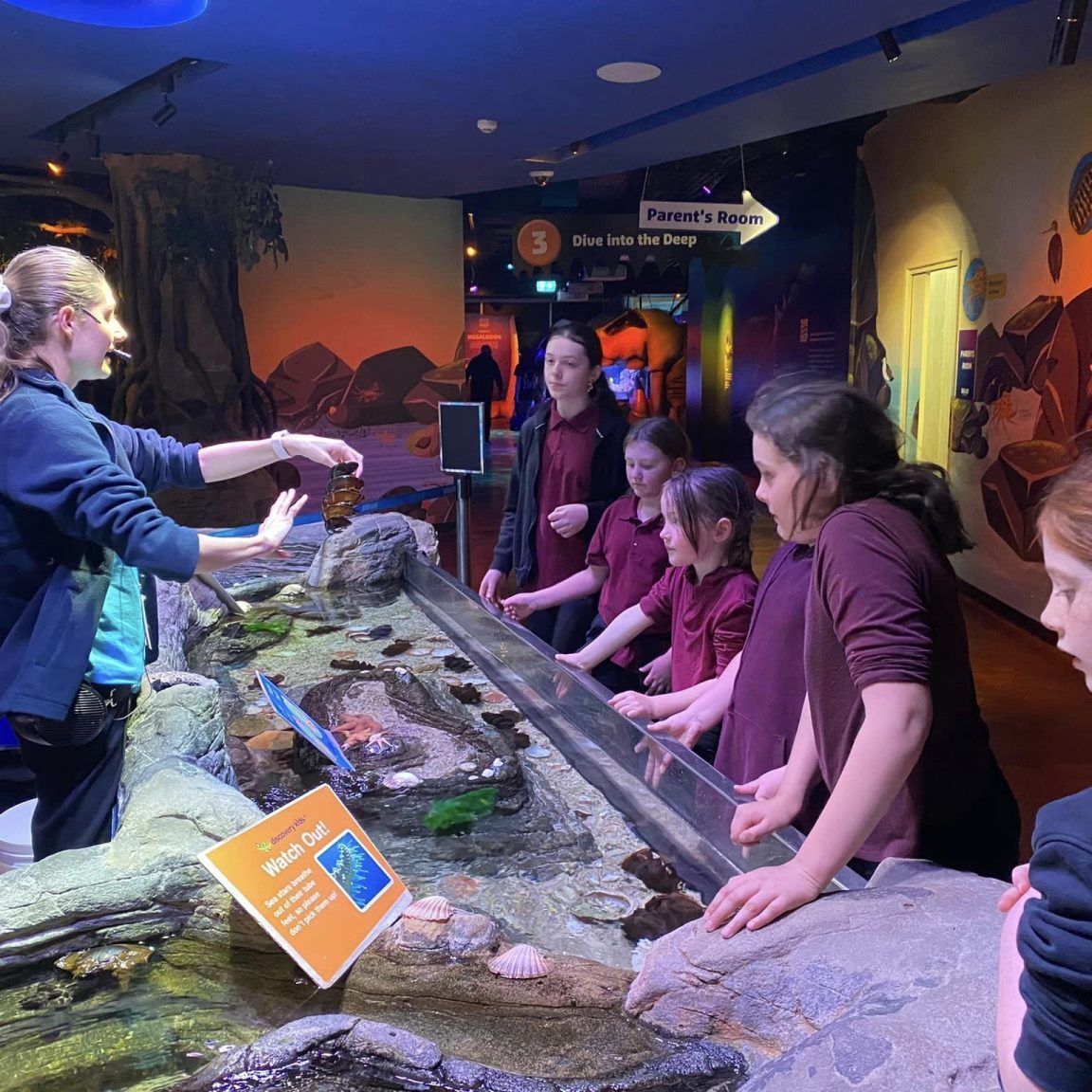 318756466 846926516602862 3451358057655645844 N