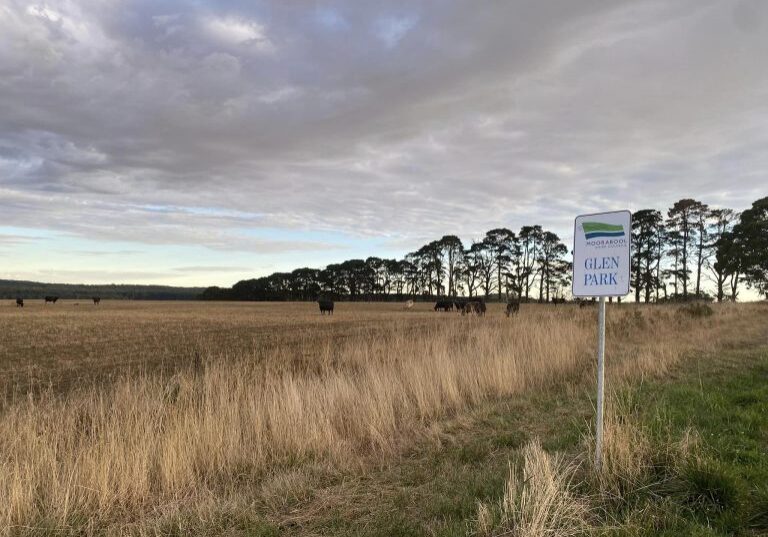 Glen Park, a bush school on the edge of the city.
