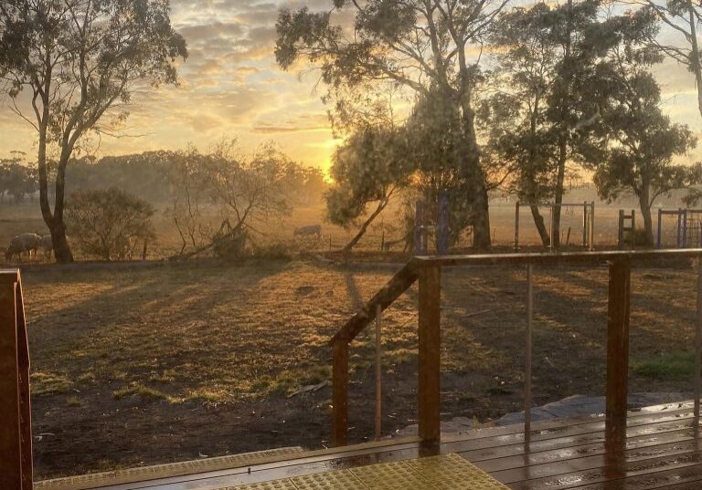 337421916 595676732580286 5646694400835267103 N