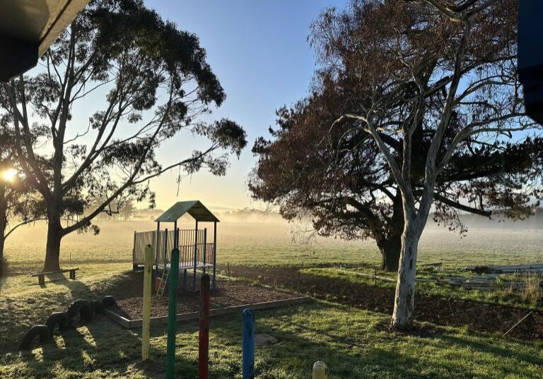 367473129 1045841366711375 142401464983347167 N