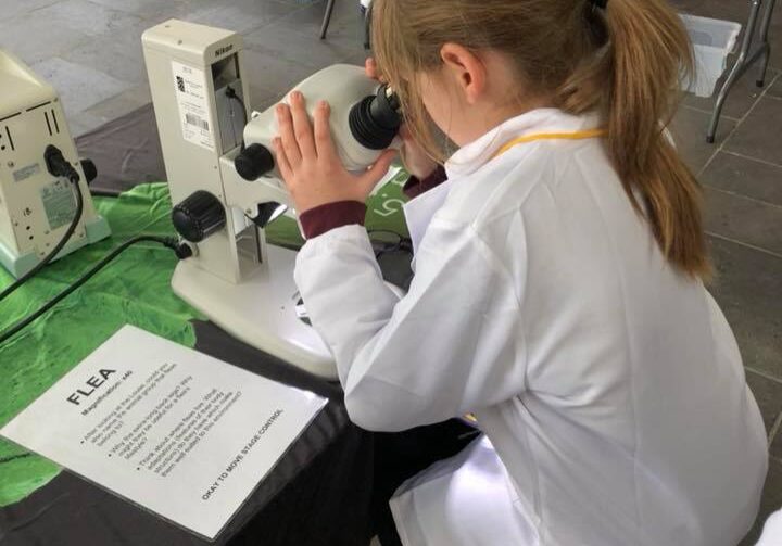 39176360 1377944228975637 3634349425490395136 N1