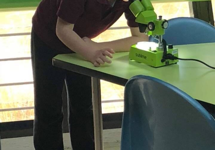 41648613 1411473912289335 2498179289770360832 N1