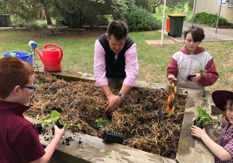 45103386 1466497823453610 7226674902386868224 N1