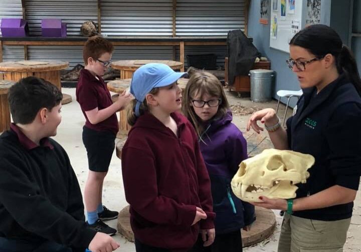 48377460 1517077885062270 995866327392452608 N1