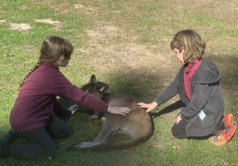 487920334 1492886882006819 5105242287581103905 N