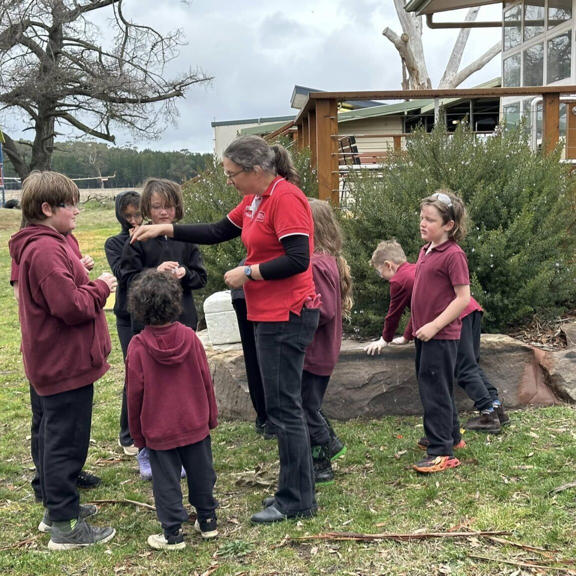 514075137 1571189937509846 4123975854069546073 N