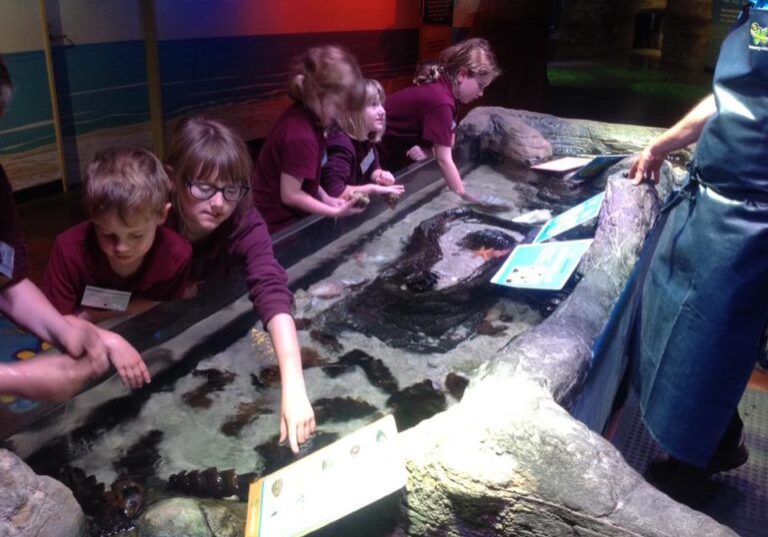 54428361 1633656760071048 3176272591933407232 N2