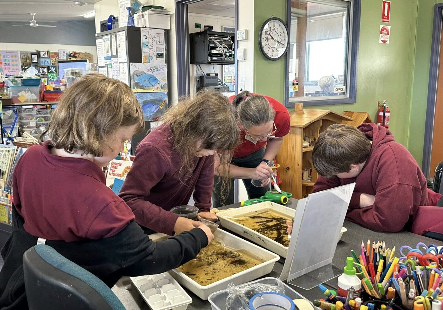 Glen Park Nature Science