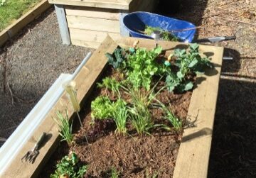 Blogger Image 1016899024