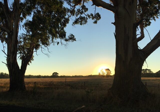 Blogger Image 1179233055