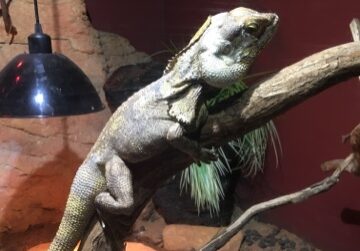 Blogger Image 1248837511