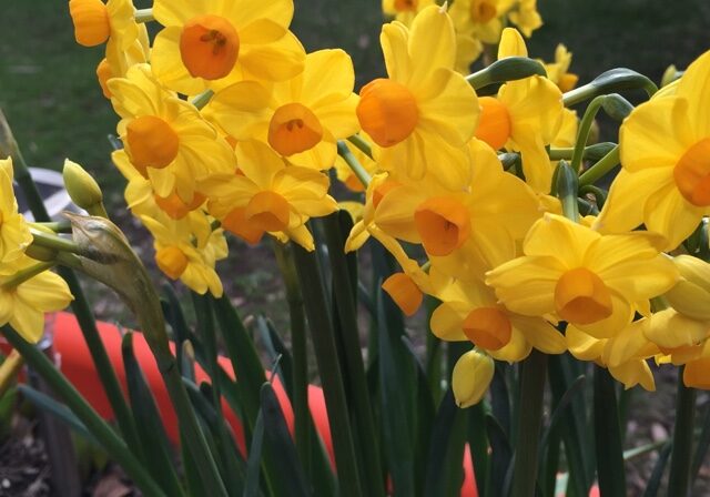 Blogger Image 258017413