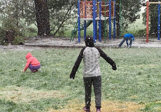 Blogger Image 266522006