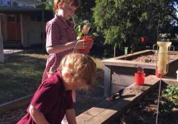 Blogger Image 425788723